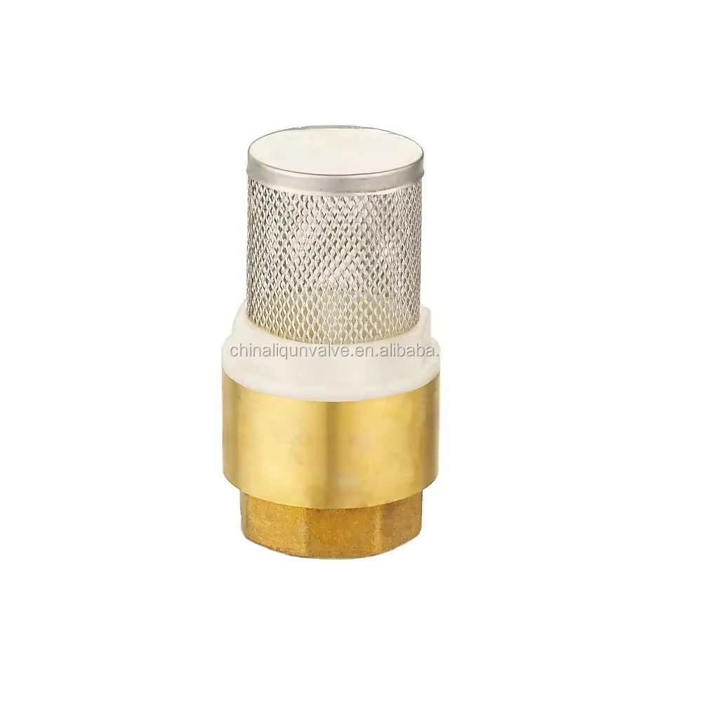 light weight simple check valve with strainers with strainers one way check valves to prevent back flow