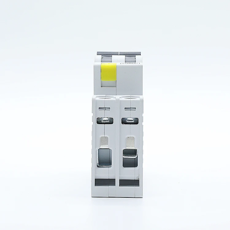 Professional Miniature Circuit Breaker Manufacturer AC DC 2P 63 Amp Mini MCB Switch rccb/rcbo/elcb/mcb/mccb