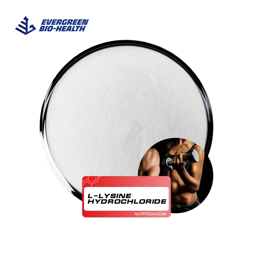 Lysine For Poultry High Purity Powder Lisina Clorhidrato L-Lysine Hydrochloride With Factory Price