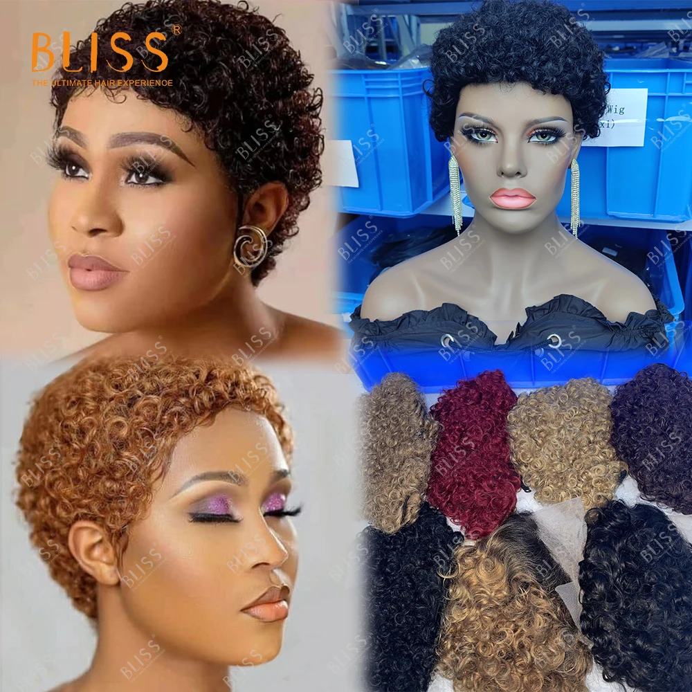 Bliss Cheap Short Pixie Curls Wigs Factory Short Pixie Cut Human Hair Wigs Brazilian Short Wigs For Black Women