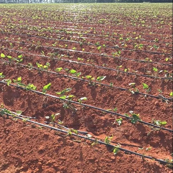 Pandora China OEM High Quality 16mm Agricultural Drip Tape  Pipe For Garden Farm With Flat Emitter