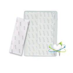 Factory Price Oem custom logo 250pcs individual wrapped Dental floss Stick Custom plastic Dental Floss