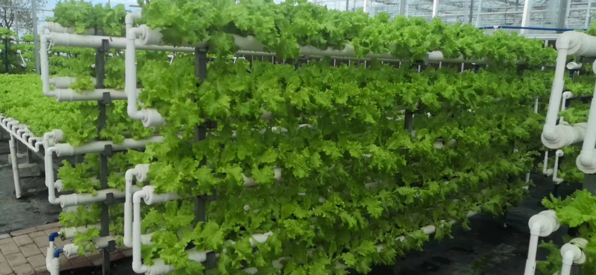 vertical hydroponics farming  NFT channels