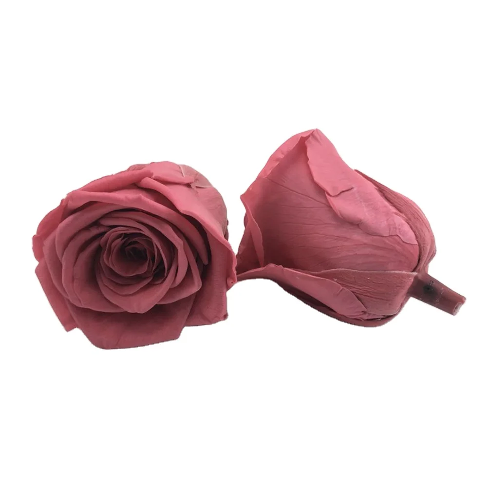 Wholesale 70 Colors Best Quality Size Real Natural Eternal Preserved Roses Head