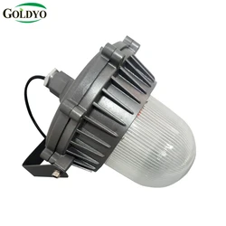 GOLDYO Waterproof Lighting Fixture Tti-proof Platform Lamp Anti Glare Explosion Proof Outdoor LED lights