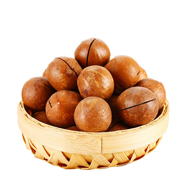 High Quality Macadamia Nut With Shell Raw Organic Bulk Nuts snacks Macadamia Nuts Wholesales