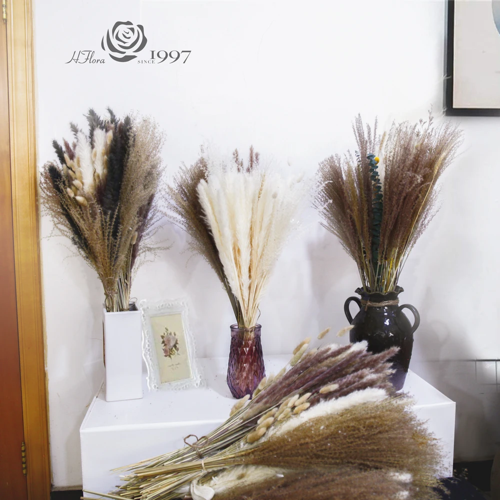HFloral  Wholesale Dried Pampas Grass Dried Flowers And Plants Bouquet Boho Decor For Home Decoration