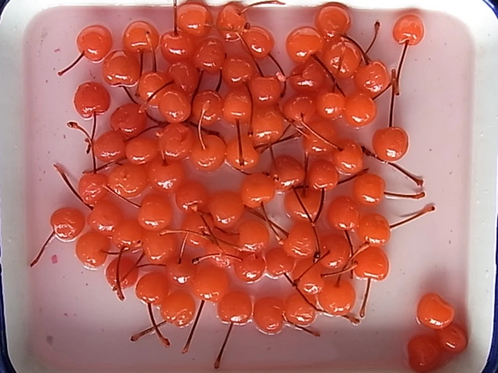 New crop high quality canned maraschino cherries in jars