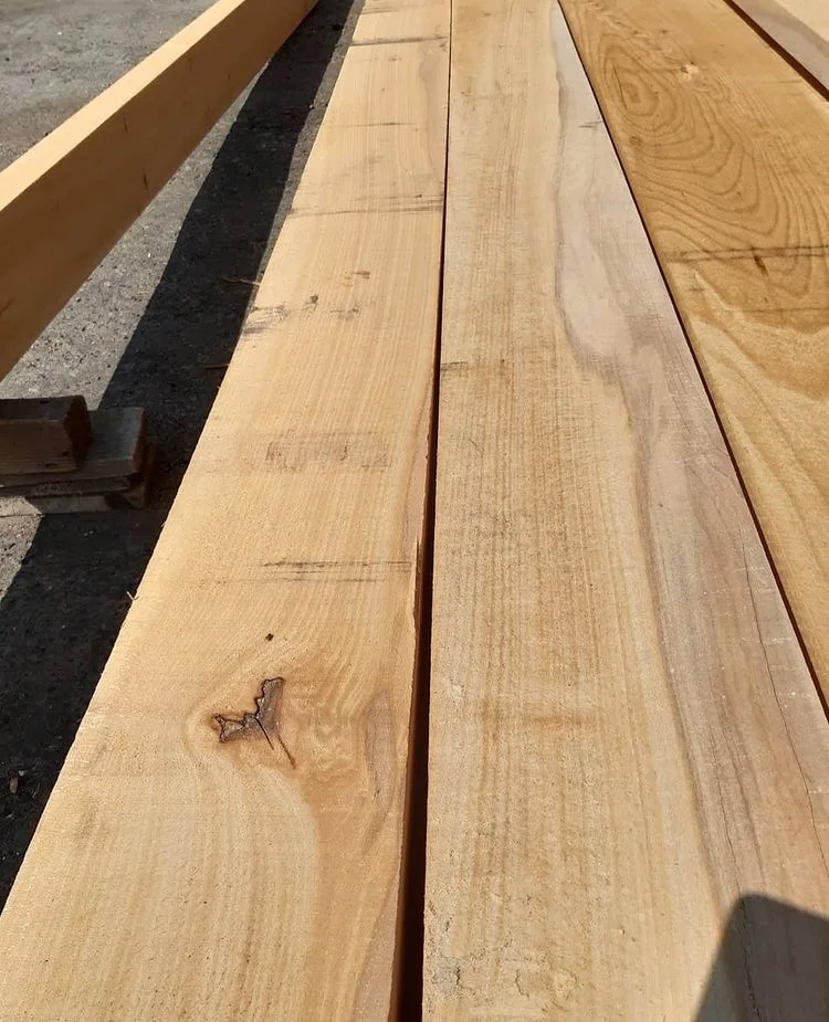 Beech Elements/ Boards woods