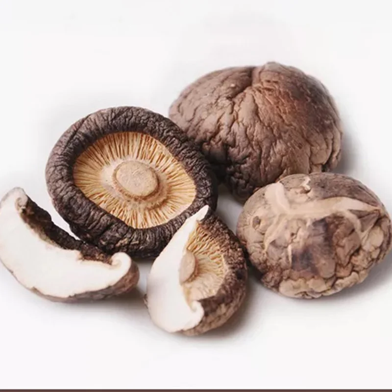 
High quality dried shitake mushroom and organic dried mushroom for sale 