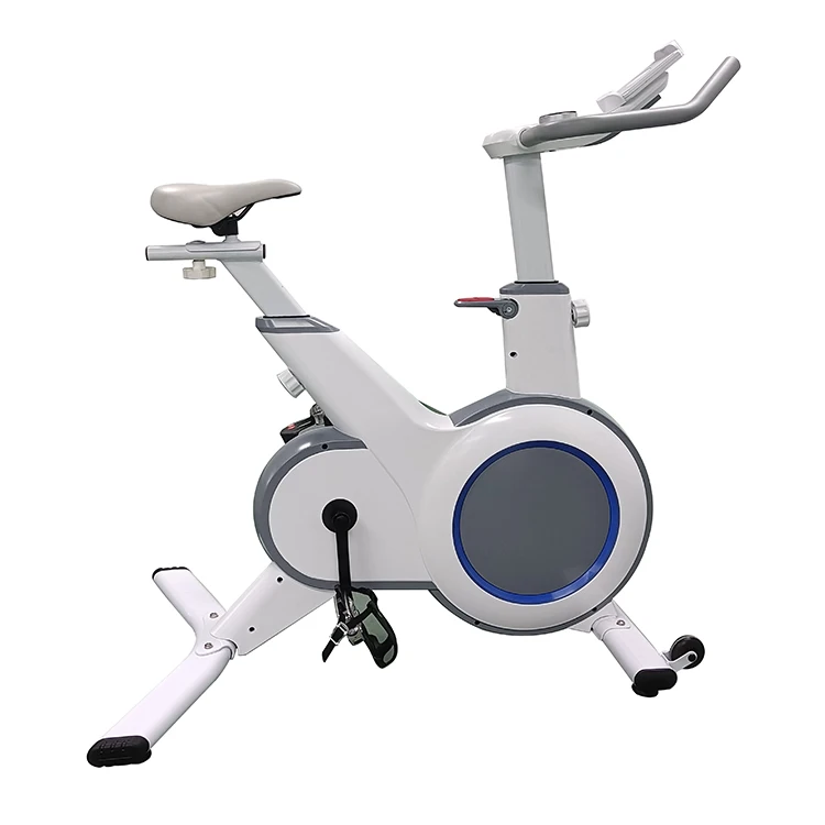 Indoor Spin Bike Exercise Cycling Bicycle Fitness Spinning Bike for Home Gym Cardio
