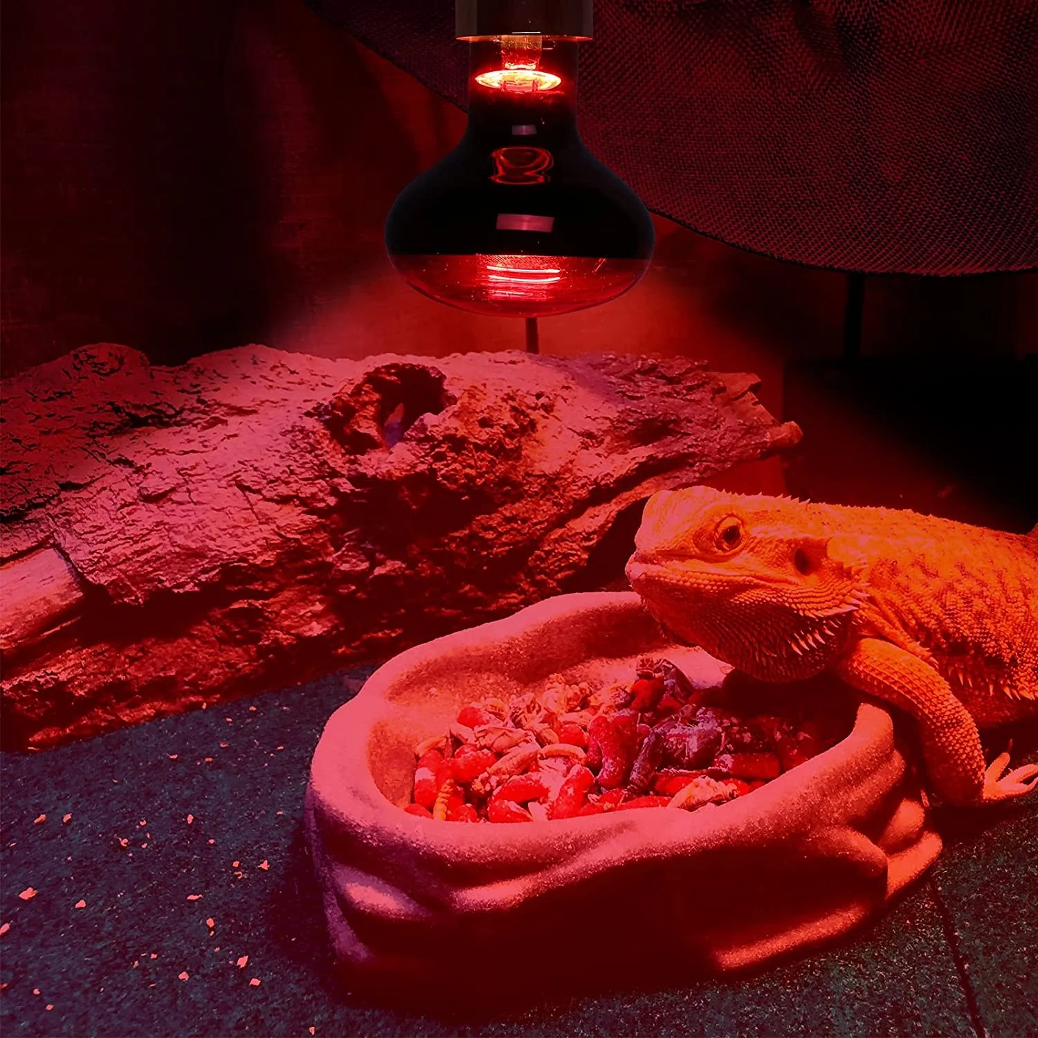 Infrared Heat lamp Basking Spot Light Bulb Heat Bulb R80 100W Popcorn Maker