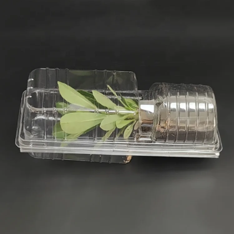 Recycled PET Plastic Flower Pots Flower Sapling Seedlings Live Plants Bonsai Transportation Protective Box