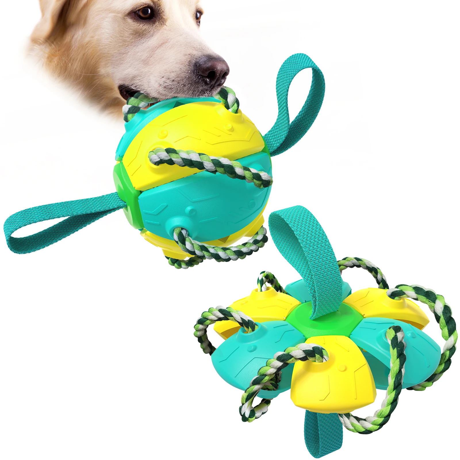 Amazon Top Seller  Durable Non-Toxic  Interactive Bone Toys  Dog Chew Toy For Aggressive Chewers