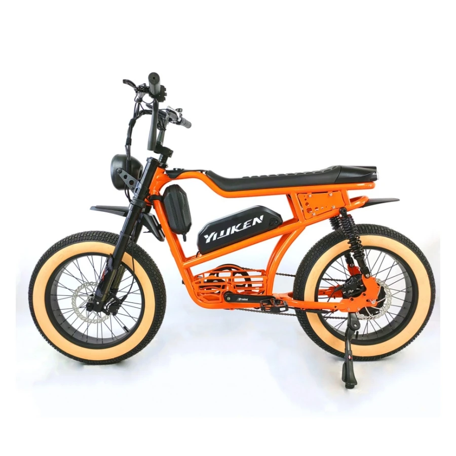 Hot Sale Fat Tire Retro Style Cafe Racer Electric Bike Vintage E-bike 48V 750w Electric Bicycle