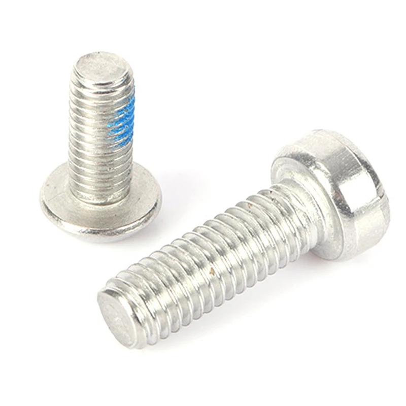 Stainless steel 304 316 iso7380 anti theft pin hex socket screw