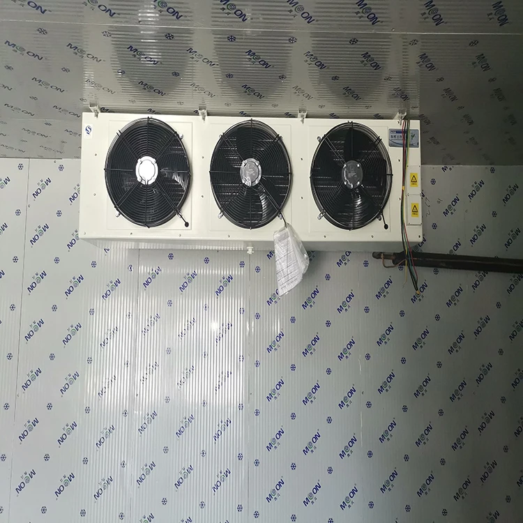 Moon copeland compressor cold room/cold room fan motor/evaporator