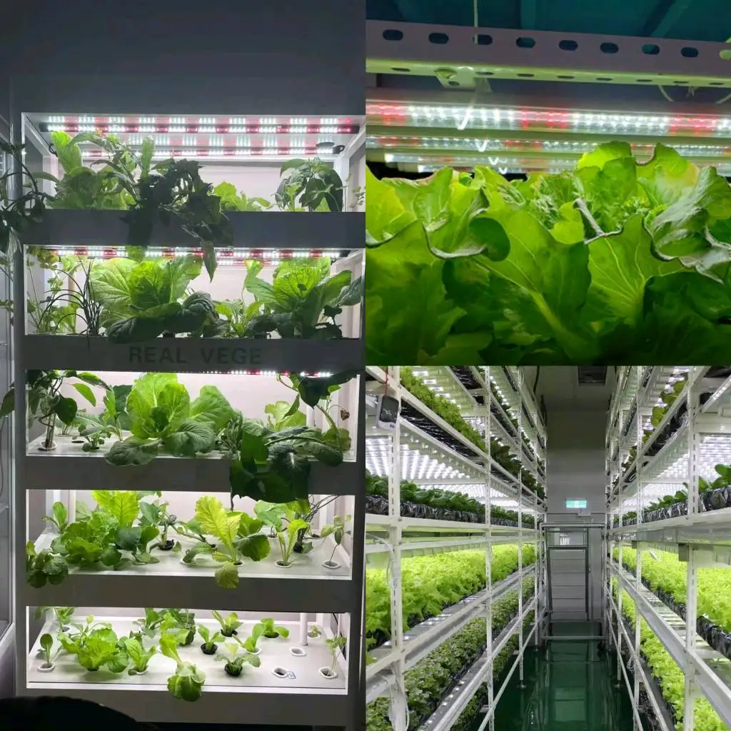 LED Full Spectrum Grow Lights custom Spectrum LED plant Light tubes lamp for vegetable green house
