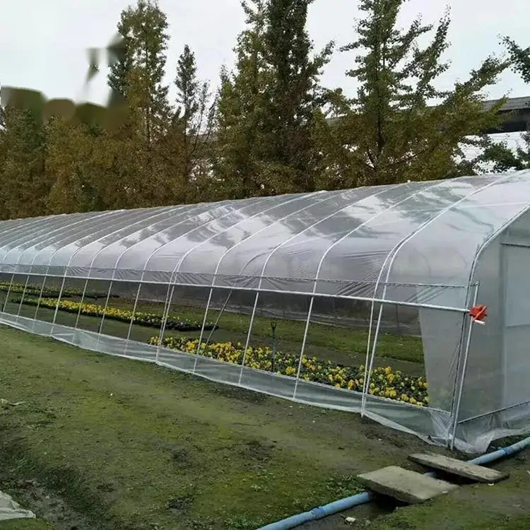 tunnel greenhouse (25).jpg