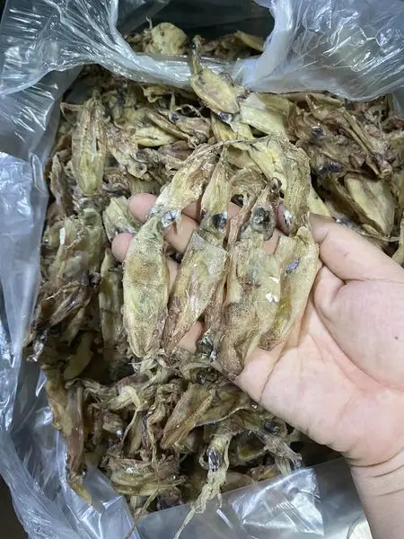 Raw unsalt squid material drying seafood exporting in bulk no additive  Premium Quality Origin In Vietnam//+84 966 274 584