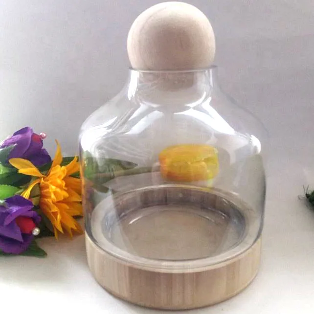 Garden wholesale vase clear glass terrarium plants with wooden base and wooden ball top