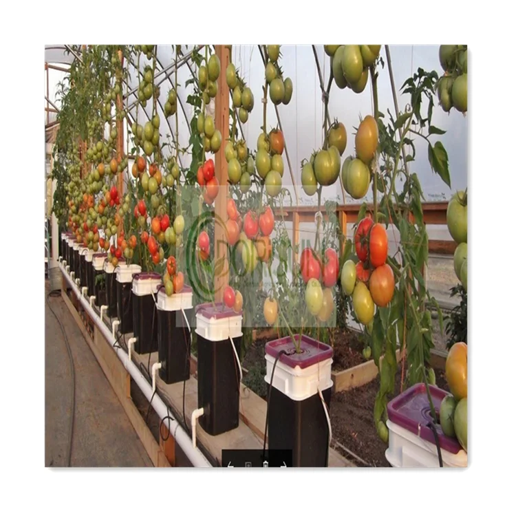 Food Grade PVC Greenhouse Strawberry Grow Dutch Bucket Hydroponics Growing Melon For Agricultural