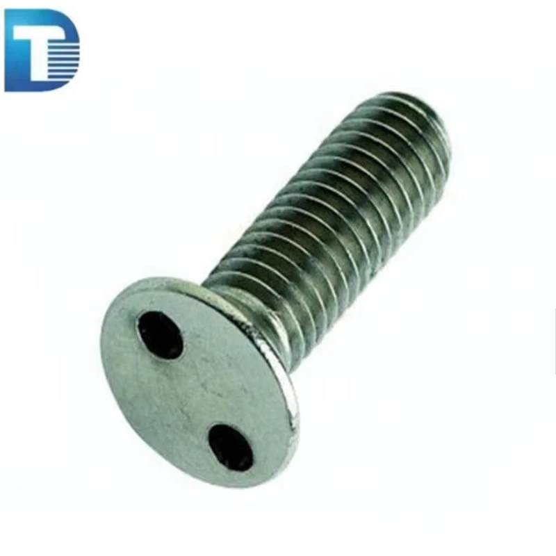 M3 M5 M6 Stainless Steel AISI304 316 ANSI304 316 Two Holes Snake Eyes Pig Nose Flat Round Head Security Bolt Anti Theft Bolt