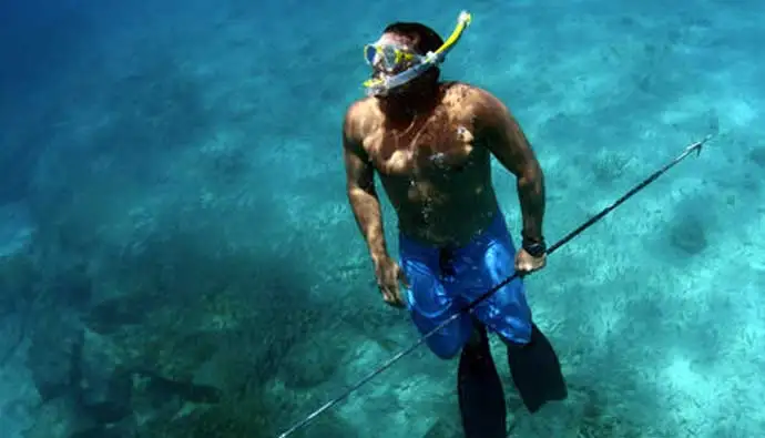 High Quality Professional Spearfishing Handspear pole spear