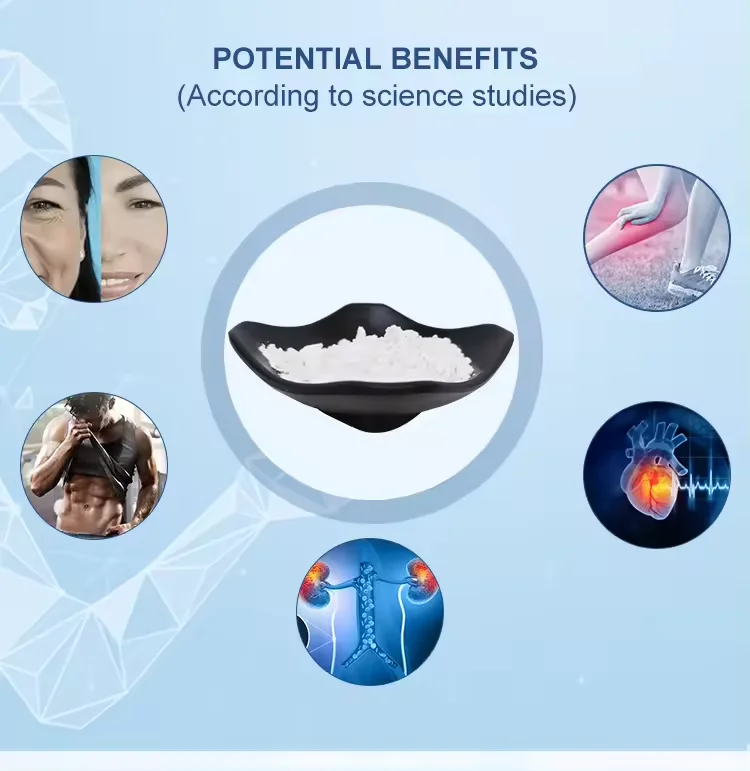 Factory Supply Calcium Alpha-Ketoglutarate CA- AKG  Powder Bulk CAS 71686-01-6 with High Quality