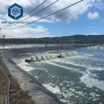 60mil or 80mil thickness HDPE geomembrane Root Barrier for Bamboo