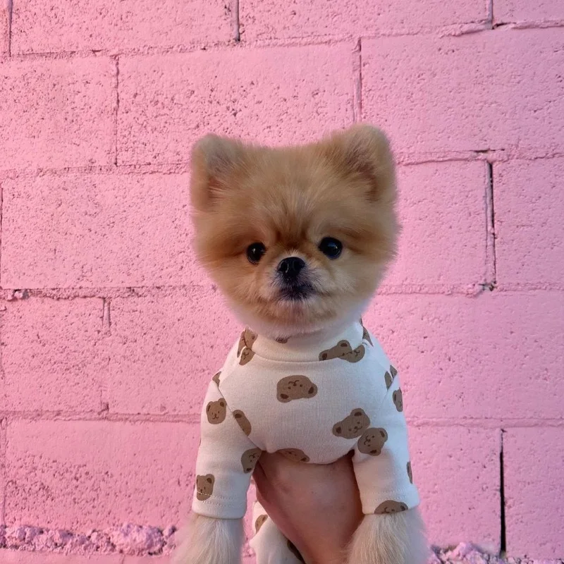 Wholesale Custom INS Korea Spring Autumn Pet Home Clothes Cute Bear Pattern Dog Vest Puppy Cotton Air Conditioning Apparel