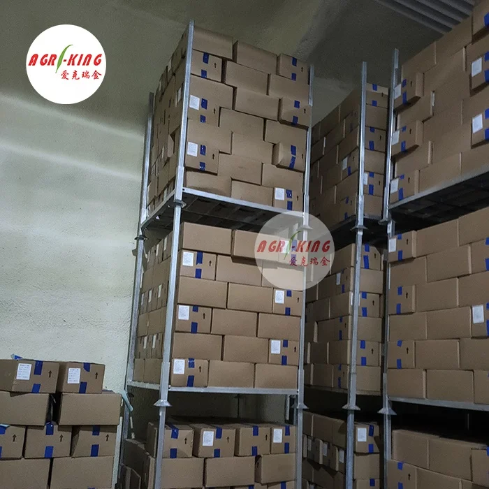 IQF Frozen White Mushroom Champignons