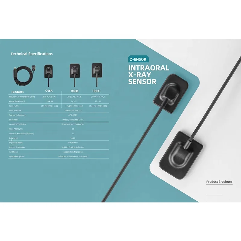 Dental Digital Intraoral X Ray Sensor.jpg