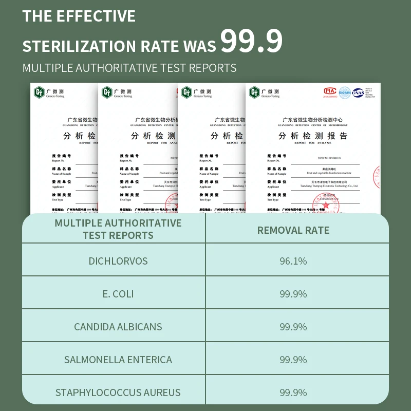 Customization hydroxyl electrolysis food purifier Vegetable and Fruit Washer