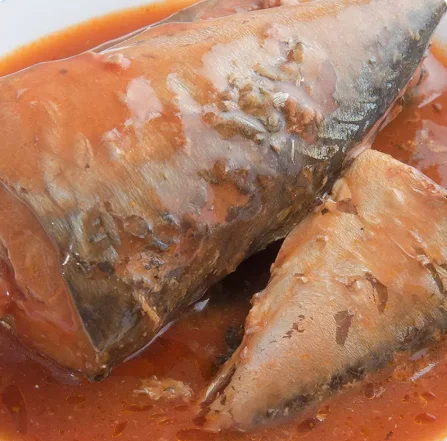 factory price canned Mackerel in Tomato Sacue 425g