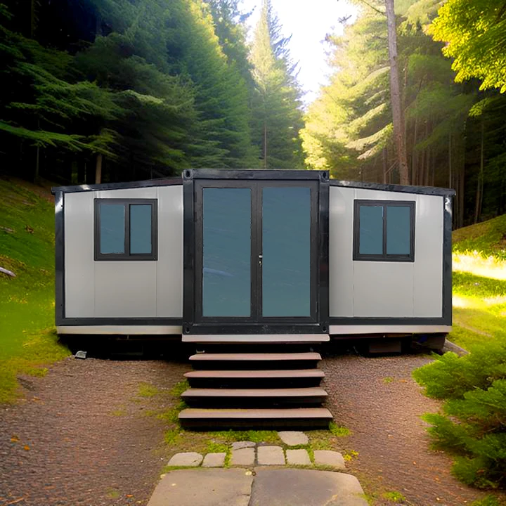 2024 новый домашний контейнерный дом контейнерные дома 40Ft Роскошный Дом Контейнерный с высокой производительностью