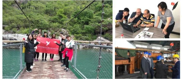 curling synthetic ice rink