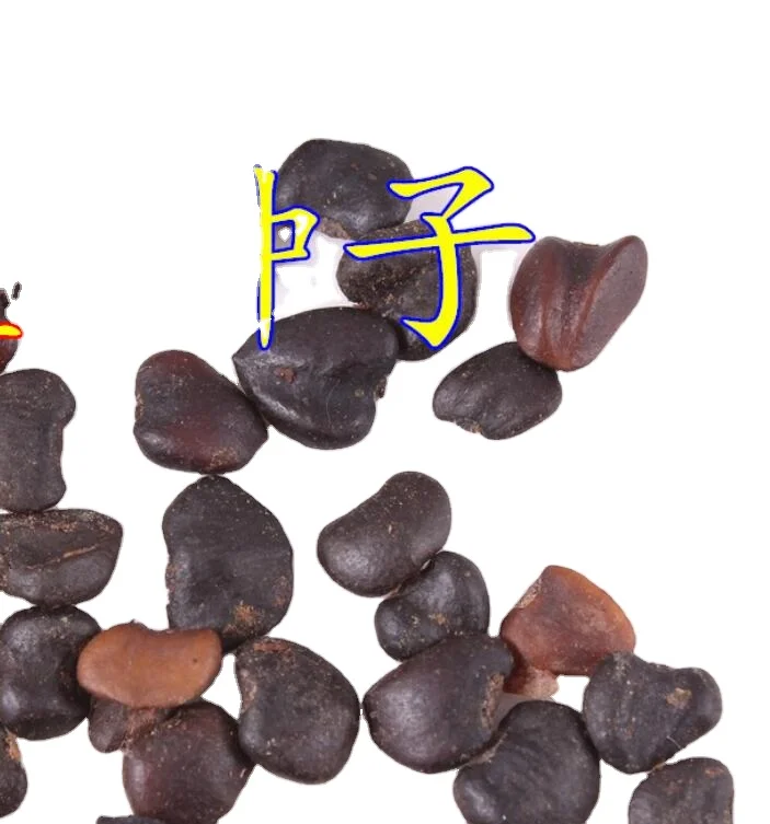 Высококачественные собранные новые чистые семена магнолии, denudata для продажи