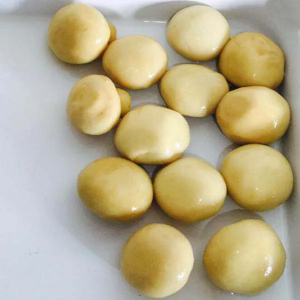 Canned whole botton mushroom champignon mushroom 425g