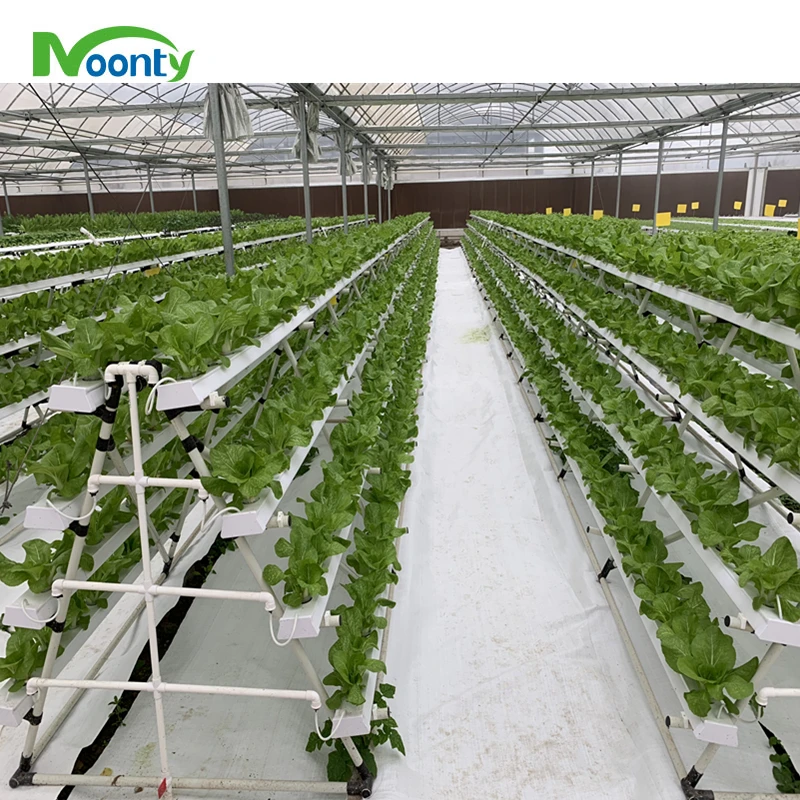 Modern venlo Polycarbonate Glass farming greenhouse Multi-Span Commercial pc sheet Greenhouses Prefab green house overall system
