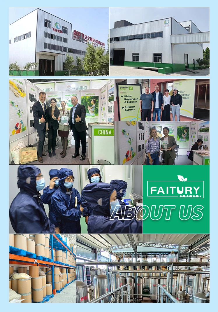 Faitury OEM Mesembrine Powder 10:1 20:1 Kanna Extract Sceletium Tortuosum