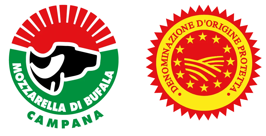 Excellent Taste Pasteurized Buffalo Milk Mozzarella Cheese Gluten Free Fresh Cheese For Pizza