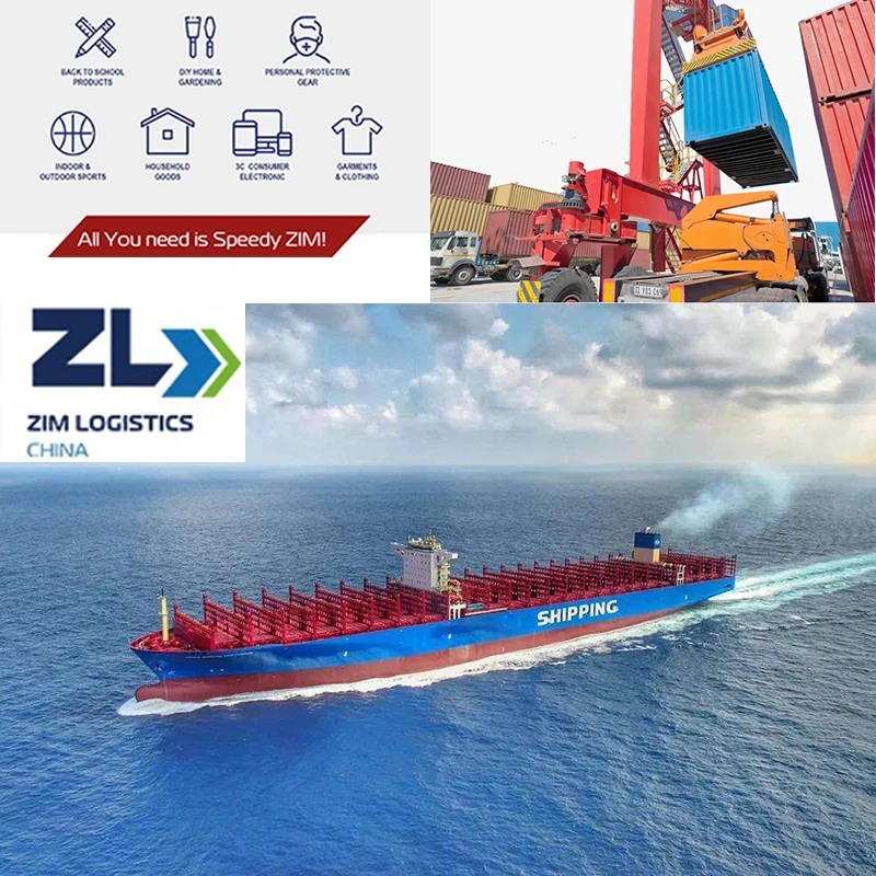 Trustworthy ZIM logistic FCL Sea Shipping Company From Shanghai China To Barcelona Spain