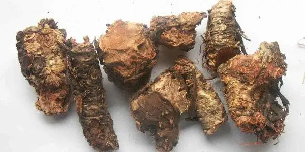 High Quality 3% 10% Salidroside Powder Rhodiola Rosea Root Extract Powder