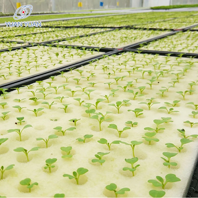 Factory Direct Selling Customized Size High Quality  Round Hole Plant Seed Cube Sponge foam seedling trays