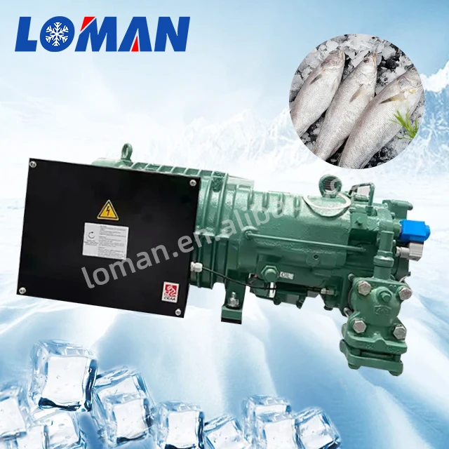 Loman bit-zer Germany Original semi hermetic refrigeration screw compressor HSN8571-125 125HP china price