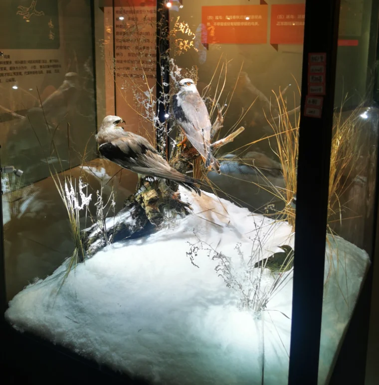 LONGSTAR The Original Premium Self-Adhesive Snow Flock Powder instant snow powder white snow powder