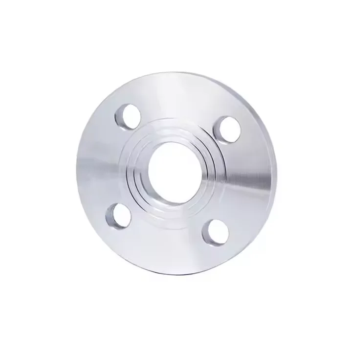 Stainless Steel 316 Flanges