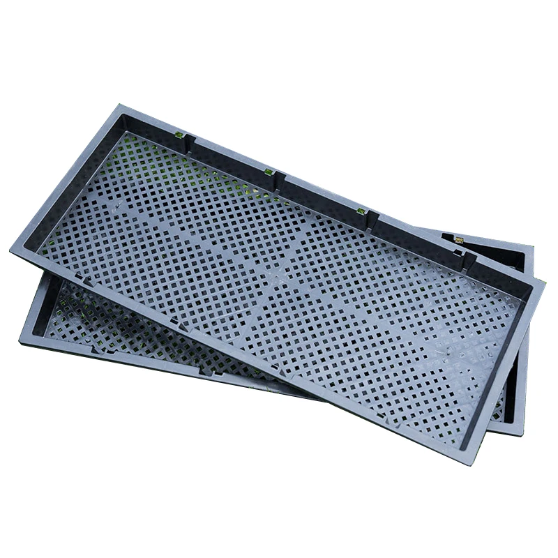 Black PP seedling growth tray layer sprouts plastic seedling tray
