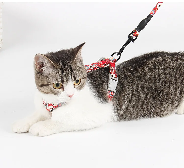 Wind bow traction chest strap h-shaped suit cat Leash And Harness